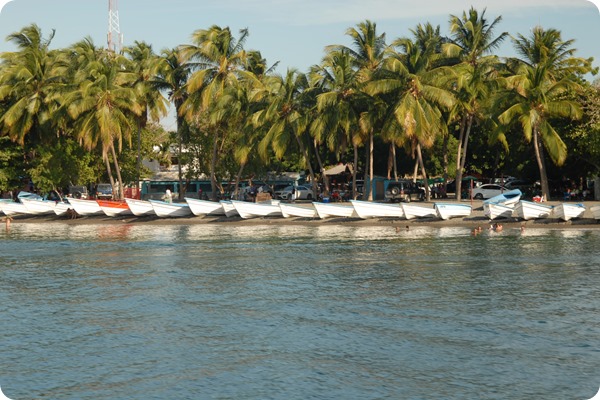 Botes en la Bahia de Ocoa