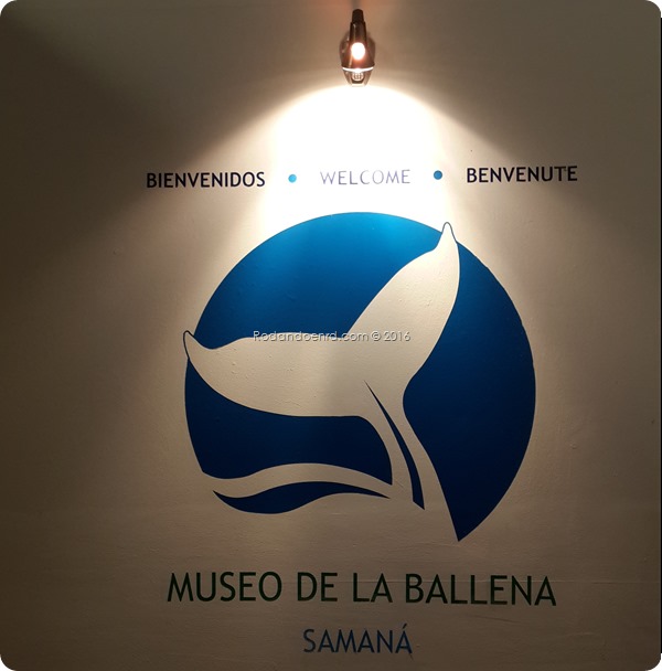 Museo de las Ballenas Samana 