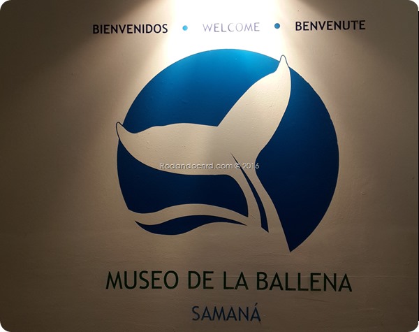 Museo de las Ballenas Samana