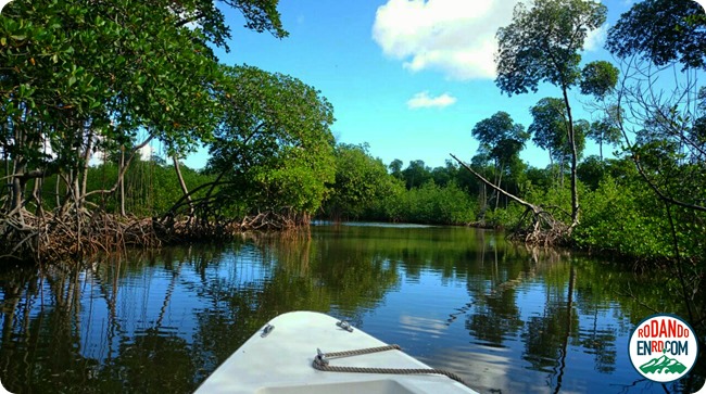 Bosque de manglares, Parque Nacional los Haitises